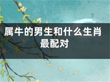 属牛的男生和什么生肖最配对
