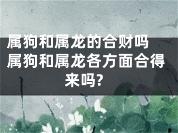 属狗和属龙的合财吗 属狗和属龙各方面合得来吗?