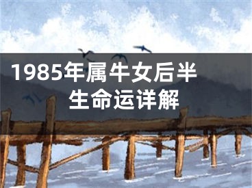 1985年属牛女后半生命运详解