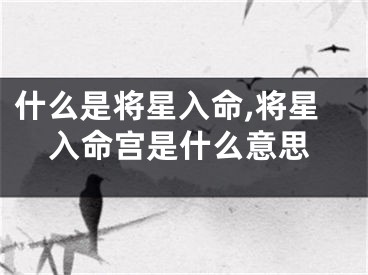 什么是将星入命,将星入命宫是什么意思