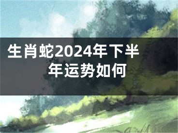 生肖蛇2024年下半年运势如何