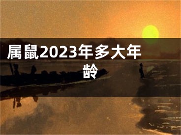 属鼠2023年多大年龄