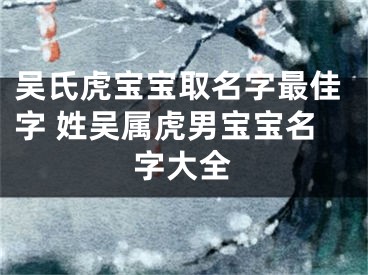 吴氏虎宝宝取名字最佳字 姓吴属虎男宝宝名字大全
