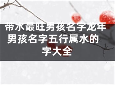 带水最旺男孩名字龙年 男孩名字五行属水的字大全