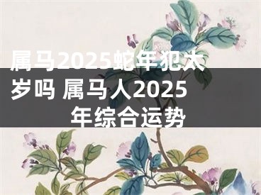 属马2025蛇年犯太岁吗 属马人2025年综合运势