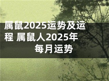 属鼠2025运势及运程 属鼠人2025年每月运势
