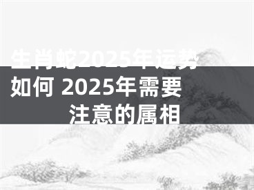生肖蛇2025年运势如何 2025年需要注意的属相