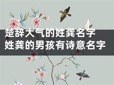 楚辞大气的姓龚名字 姓龚的男孩有诗意名字