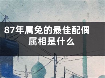 87年属兔的最佳配偶属相是什么