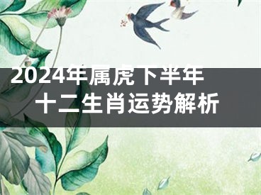 2024年属虎下半年十二生肖运势解析