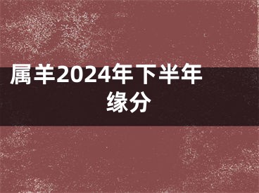属羊2024年下半年缘分