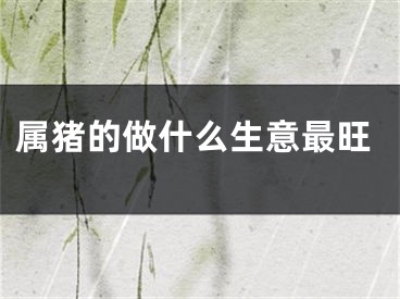 属猪的做什么生意最旺
