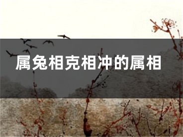 属兔相克相冲的属相