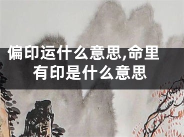 偏印运什么意思,命里有印是什么意思