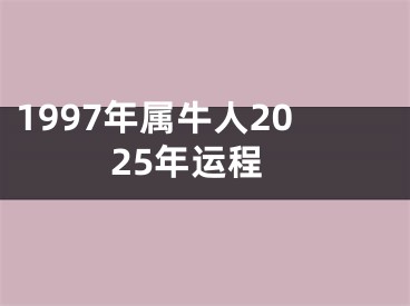 1997年属牛人2025年运程