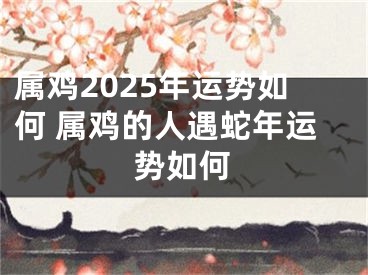 属鸡2025年运势如何 属鸡的人遇蛇年运势如何