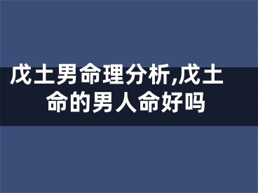 戊土男命理分析,戊土命的男人命好吗