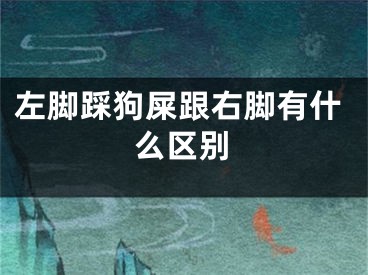 左脚踩狗屎跟右脚有什么区别