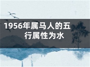 1956年属马人的五行属性为水