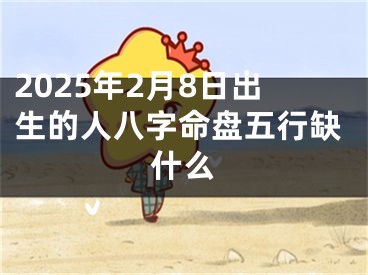 2025年2月8日出生的人八字命盘五行缺什么