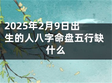 2025年2月9日出生的人八字命盘五行缺什么