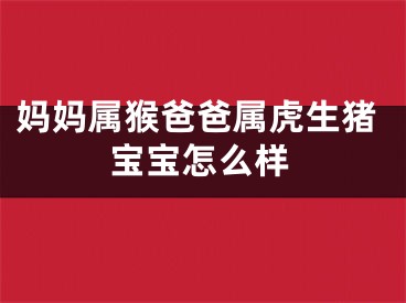 妈妈属猴爸爸属虎生猪宝宝怎么样