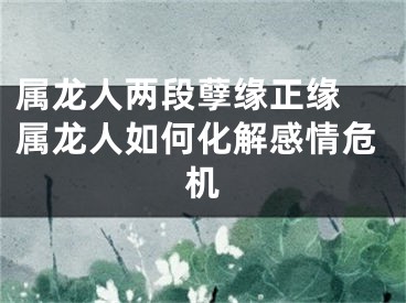 属龙人两段孽缘正缘 属龙人如何化解感情危机