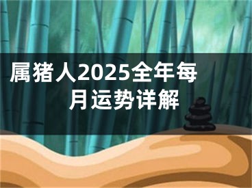 属猪人2025全年每月运势详解