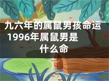 九六年的属鼠男孩命运 1996年属鼠男是什么命
