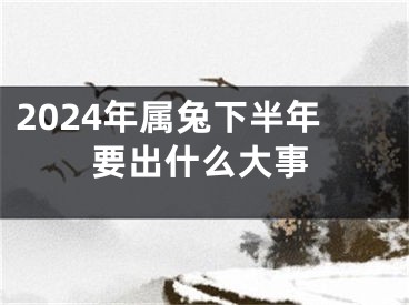 2024年属兔下半年要出什么大事