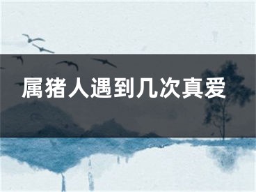 属猪人遇到几次真爱