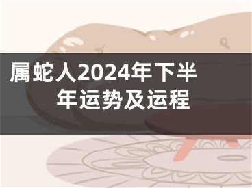 属蛇人2024年下半年运势及运程