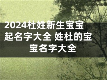 2024杜姓新生宝宝起名字大全 姓杜的宝宝名字大全