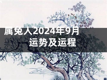 属兔人2024年9月运势及运程