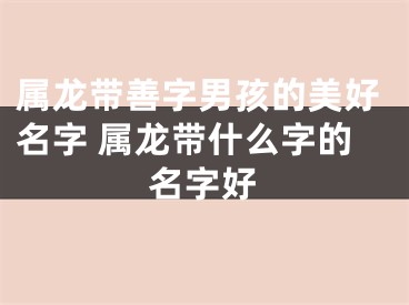 属龙带善字男孩的美好名字 属龙带什么字的名字好
