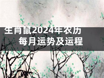 生肖鼠2024年农历每月运势及运程