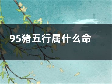 95猪五行属什么命