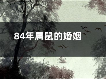 84年属鼠的婚姻