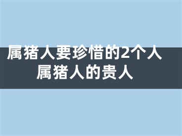 属猪人要珍惜的2个人 属猪人的贵人