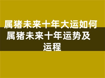 属猪未来十年大运如何 属猪未来十年运势及运程