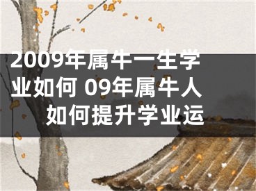 2009年属牛一生学业如何 09年属牛人如何提升学业运