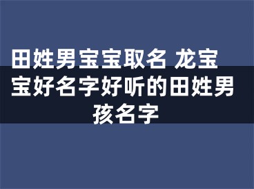 田姓男宝宝取名 龙宝宝好名字好听的田姓男孩名字
