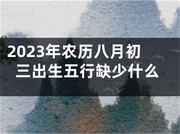 2023年农历八月初三出生五行缺少什么