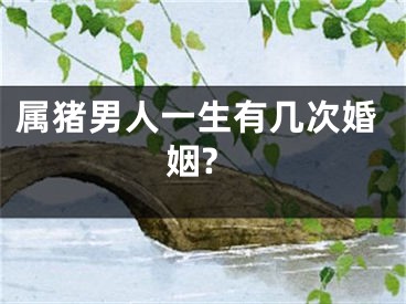 属猪男人一生有几次婚姻?