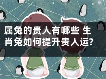 属兔的贵人有哪些 生肖兔如何提升贵人运?