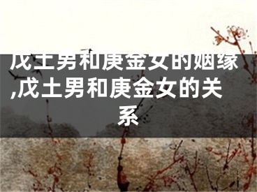戊土男和庚金女的姻缘,戊土男和庚金女的关系