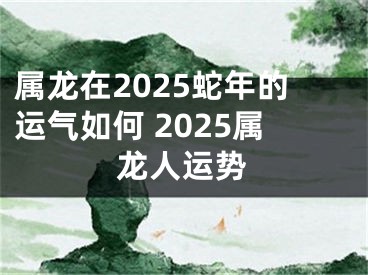 属龙在2025蛇年的运气如何 2025属龙人运势