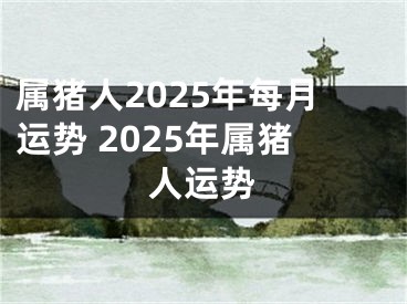属猪人2025年每月运势 2025年属猪人运势