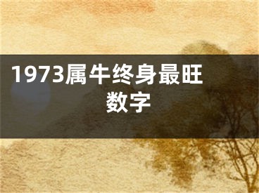 1973属牛终身最旺数字