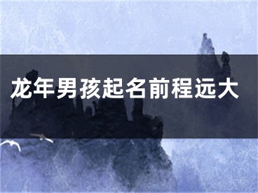 龙年男孩起名前程远大